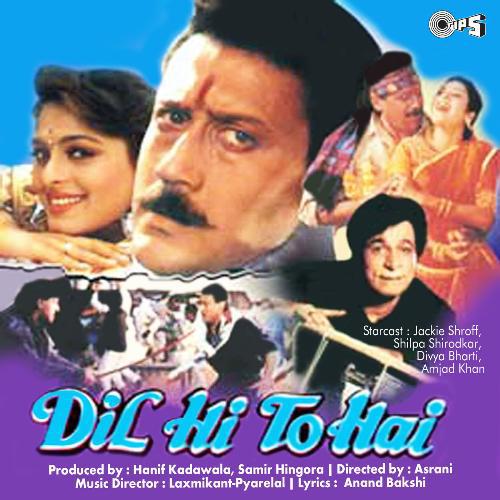 Dil Hi To Hai (1993) (Hindi)